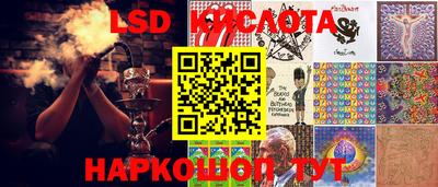 стафф Гай