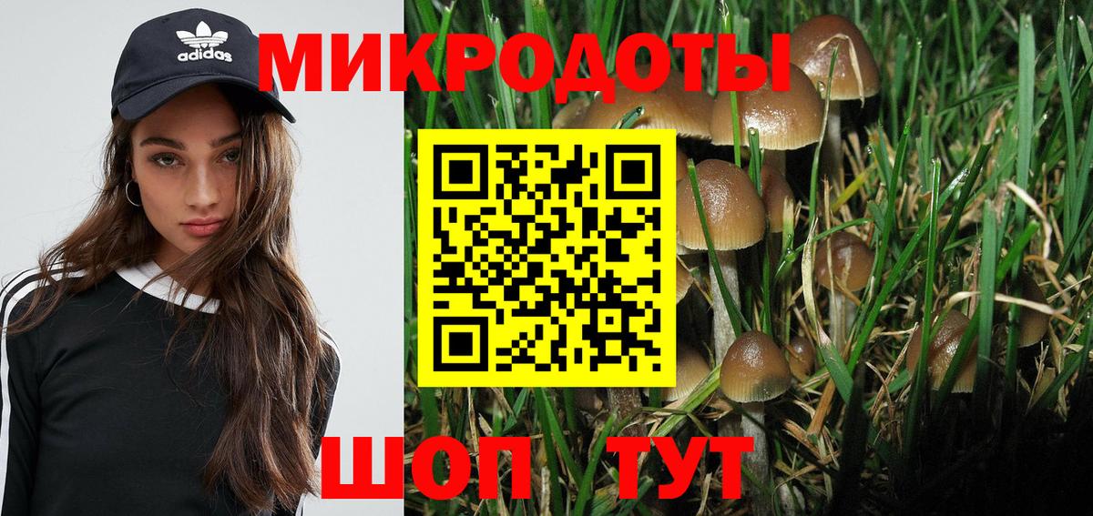 Галлюциногенные грибы Psilocybine cubensis  Вход с VPN  сколько стоит  Берёзовский 